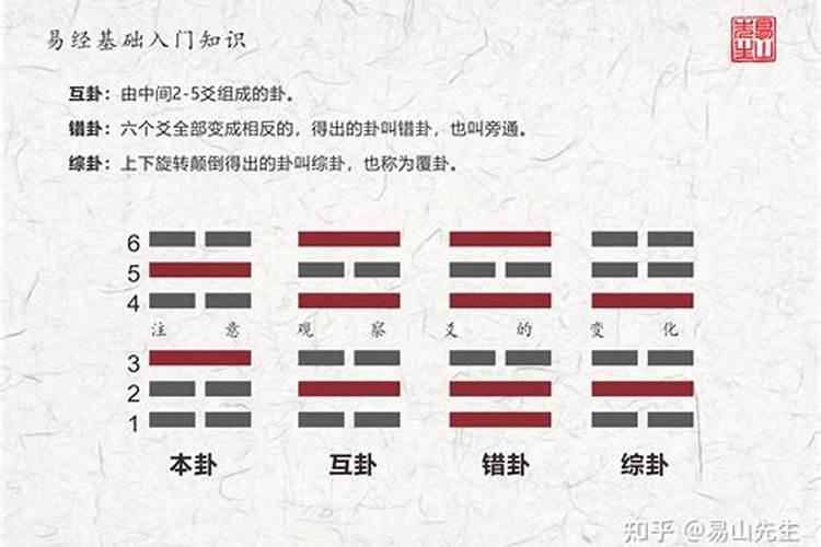 91年羊是什么命 五行属什么