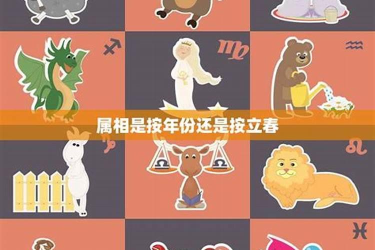 2025交运最佳时间表