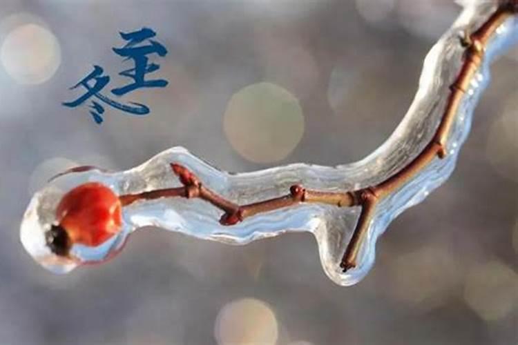 属相的更替到底是以立春为准还是以春节为准？