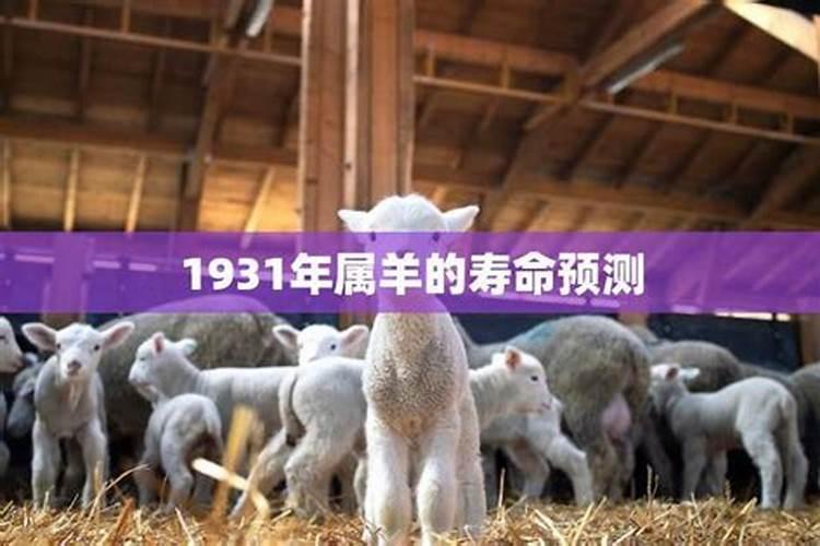 属羊人2025年全年运势运程详解