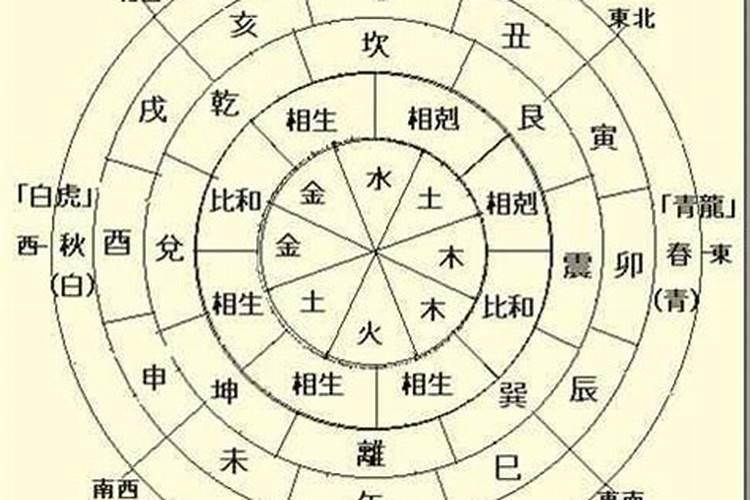 95属猪哪一年运势最好
