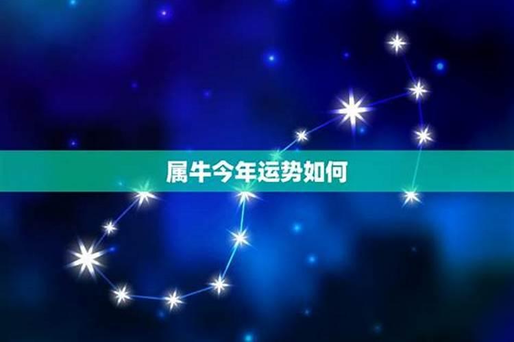 高密风景有那些？