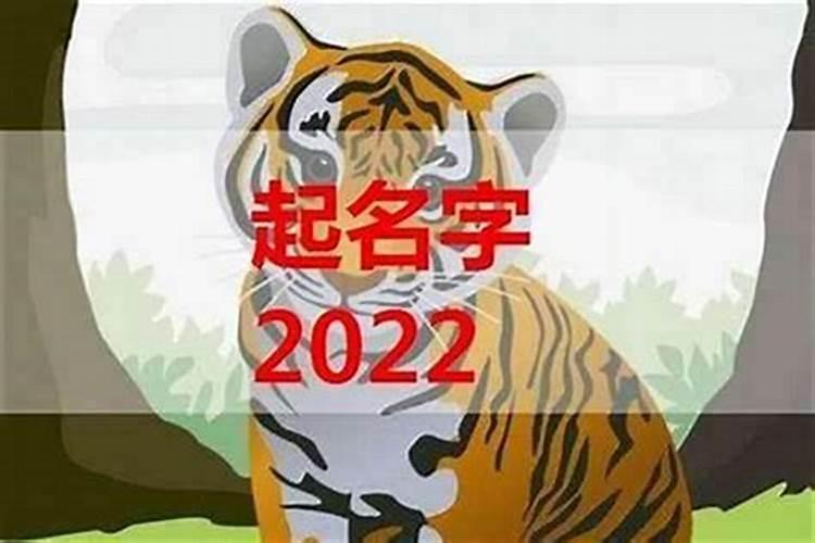 属虎的哪个季节出生好哪个月是最佳出生月份？