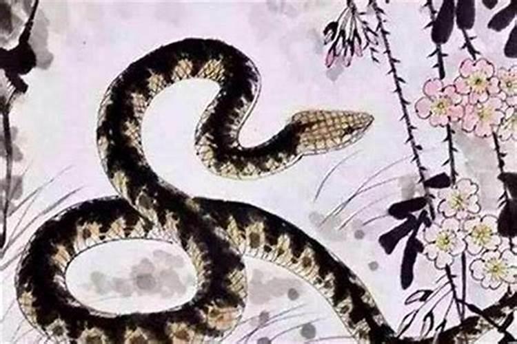 绵阳圣水寺可以算命吗？