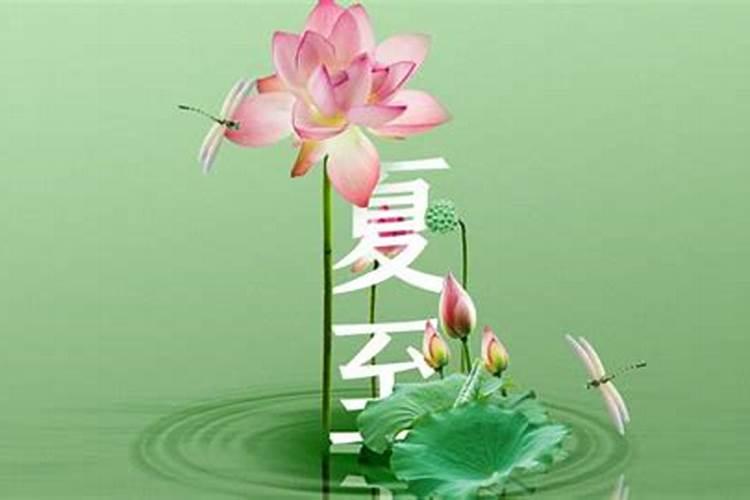 夏至吃什么传统美食
