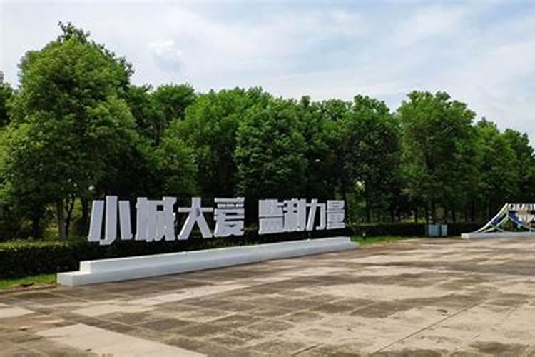 冲太岁、刑太岁、害太岁、破太岁、怎么回事？