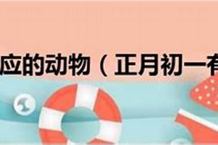 衡水公交车春节时间表