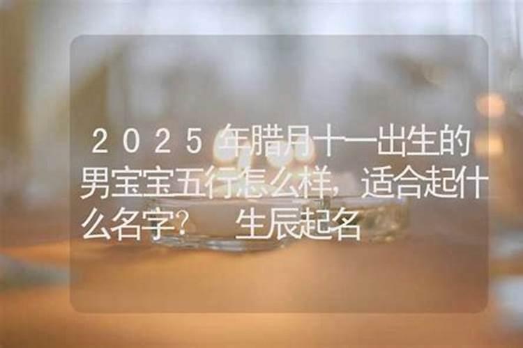 2025年农历12月出生的蛇宝宝好吗