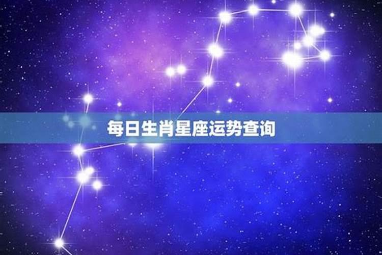 今天射手座运势