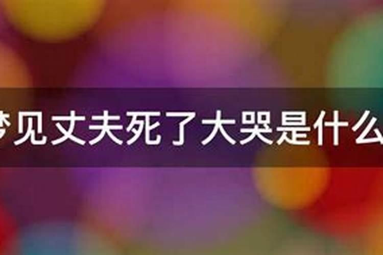 1995年属猪男2025年运势