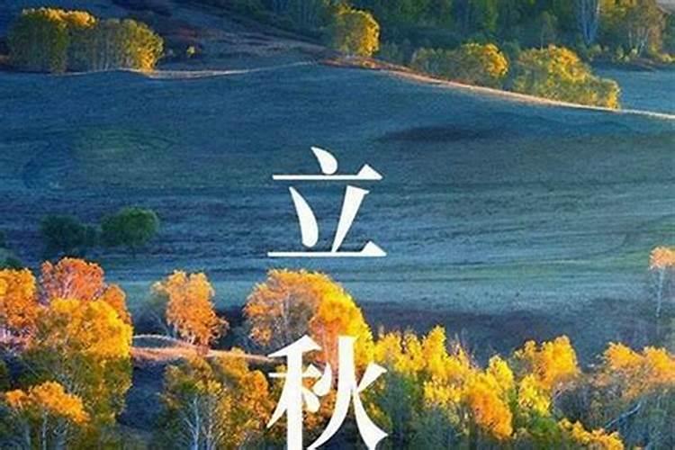 1991年羊男人在2025年的运势运程