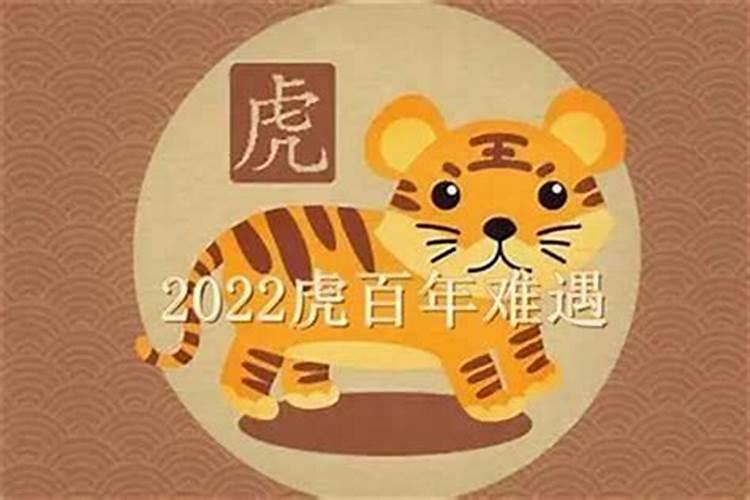 生肖虎本命年可以生宝宝吗 属虎忌讳属相孩子？