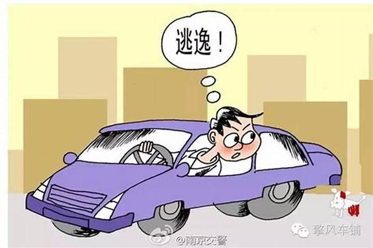 梦见交通肇事逃逸的预兆