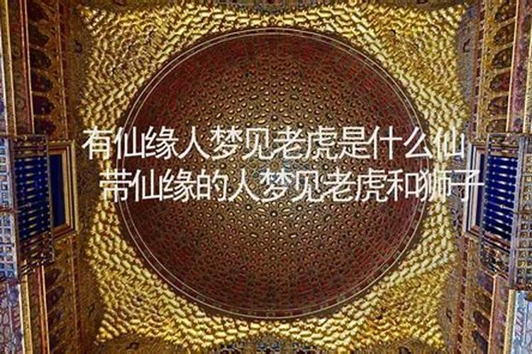 梦见老虎狮子一起出现是什么意思？