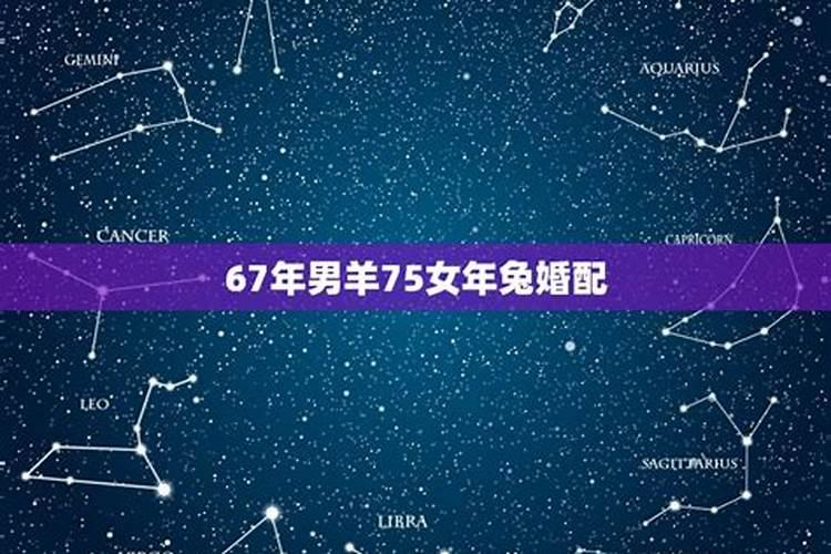 63年的兔和76年的女龙能合婚吗？