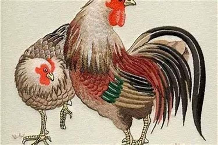 冬至北方吃什么北方冬至吃的食物介绍