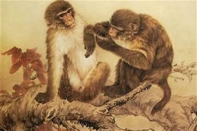 十二生肖年份表排序,十二生肖年份表图片