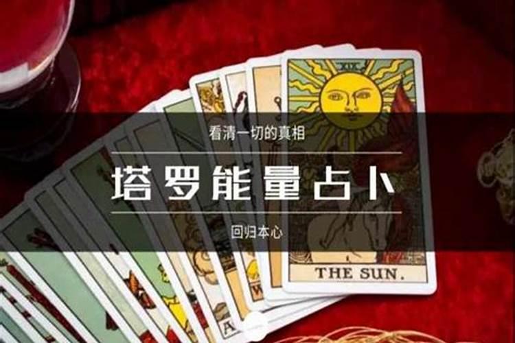 男兔女羊为何说是绝配