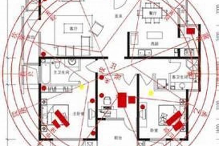 属相兔的三合和六个合生肖是什么