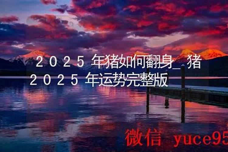 07年属猪2025年学业运势如何