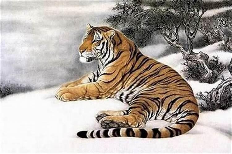 2025年属羊人的综合运势 属羊人2025年每月运势