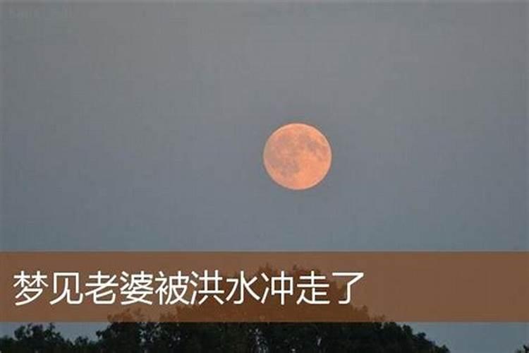 梦见大水淹路在水里走