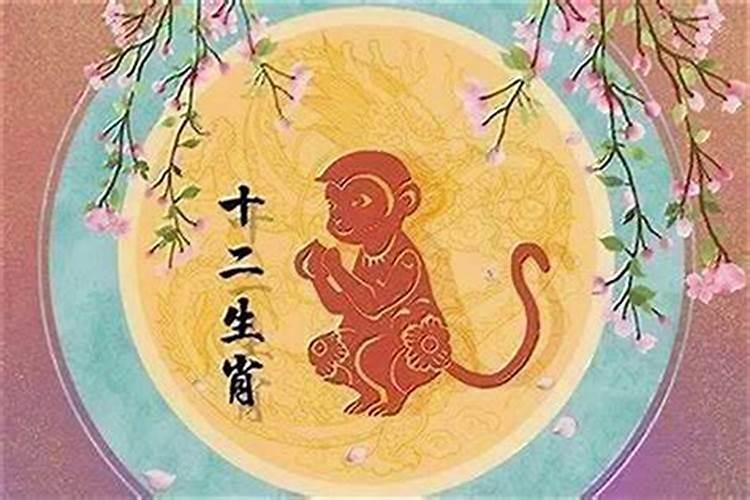 猴和什么属相不合