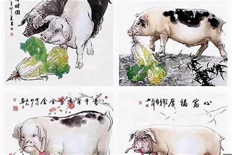 属羊男和属羊女结婚好吗？