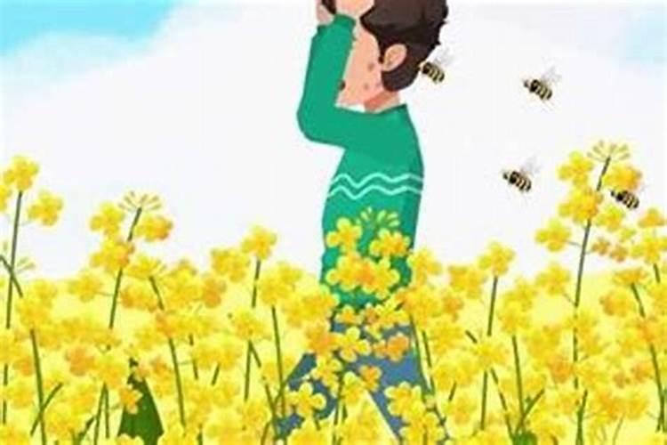 本命年的人财运事业运的运气好不好？