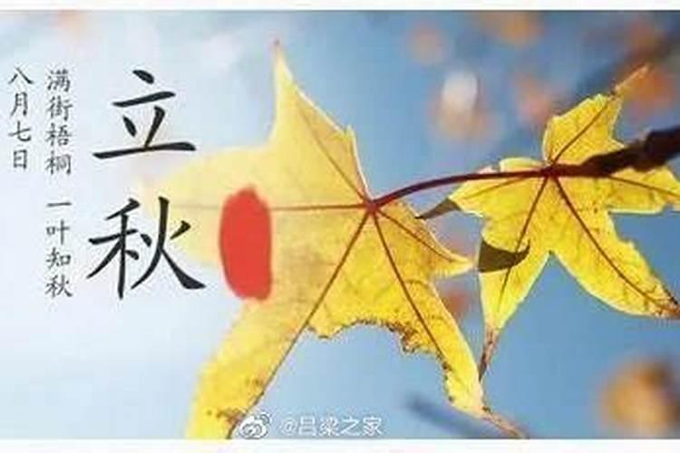 73年属牛女2025年运势运程