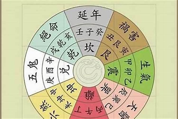 厂房左边种什么树最旺财