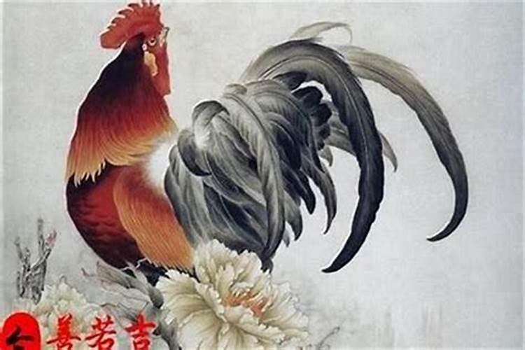 2005属鸡正缘出现时间