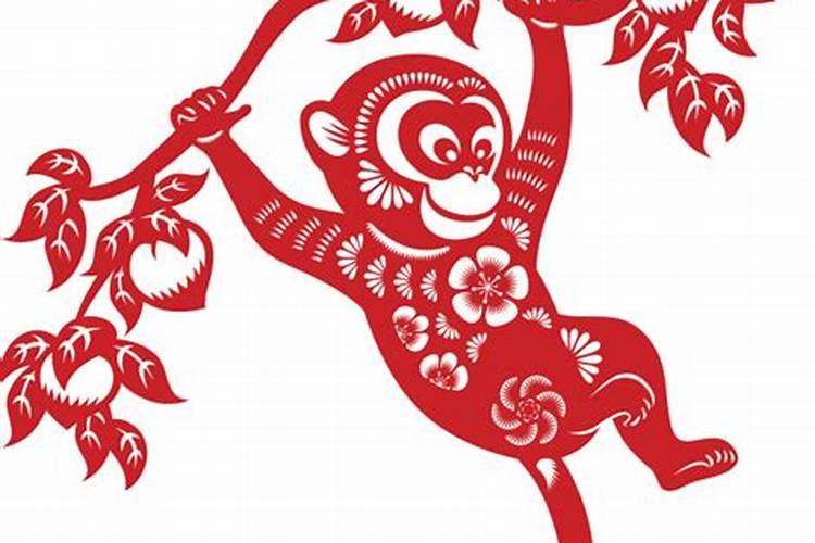 70年的狗男在2025年的运势如何