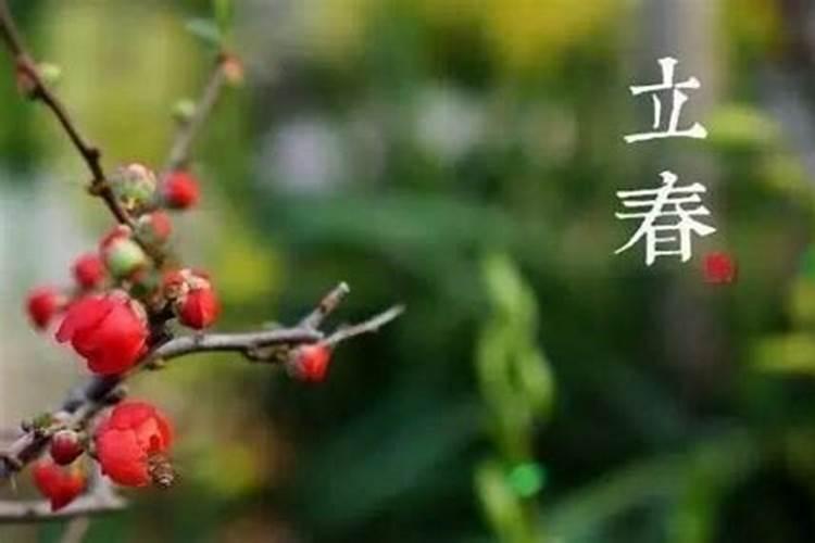 立春节气的传统习俗是什么