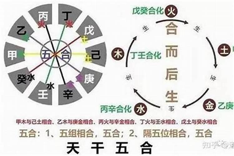 八字天干五合详解