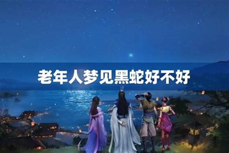 梦见黑蛇是什么意思 梦见黑蛇有什么预兆