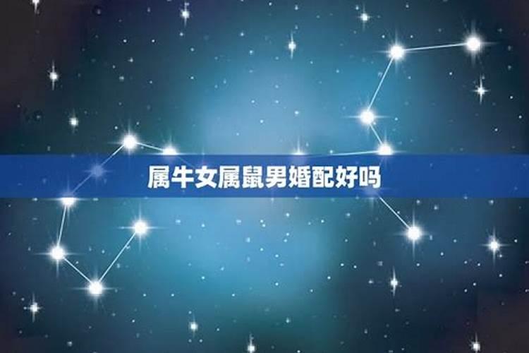 属牛女和属鼠男相配吗,此乃下等婚配