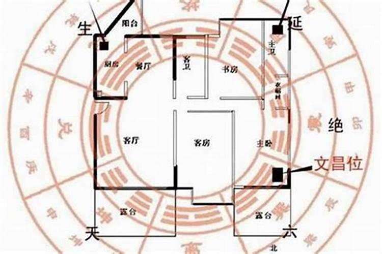 梦见别人给自己剪头发代表什么