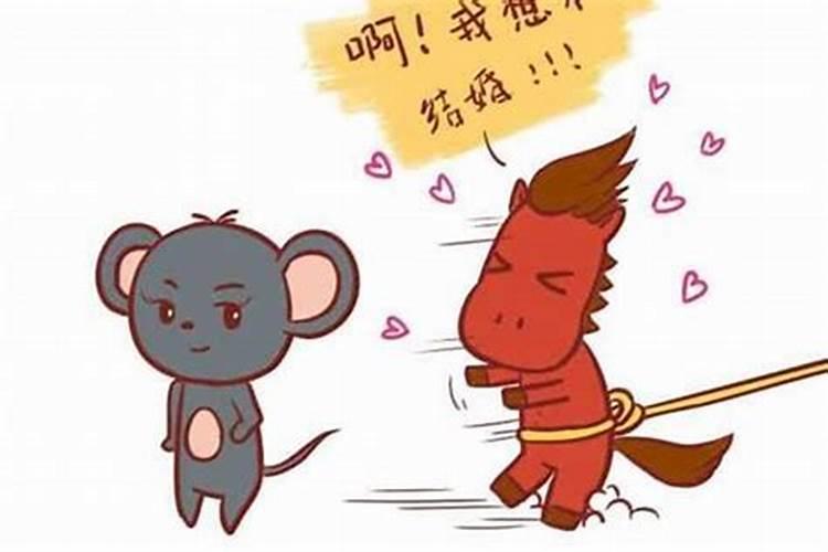 猫和什么属相相克