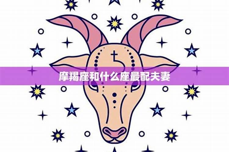 摩羯座和什么座最配对