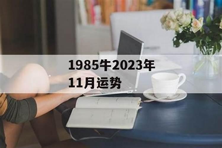 男1985年11月24日凌晨3点出生,阴历生日10月13日请高人帮忙算一下五行...