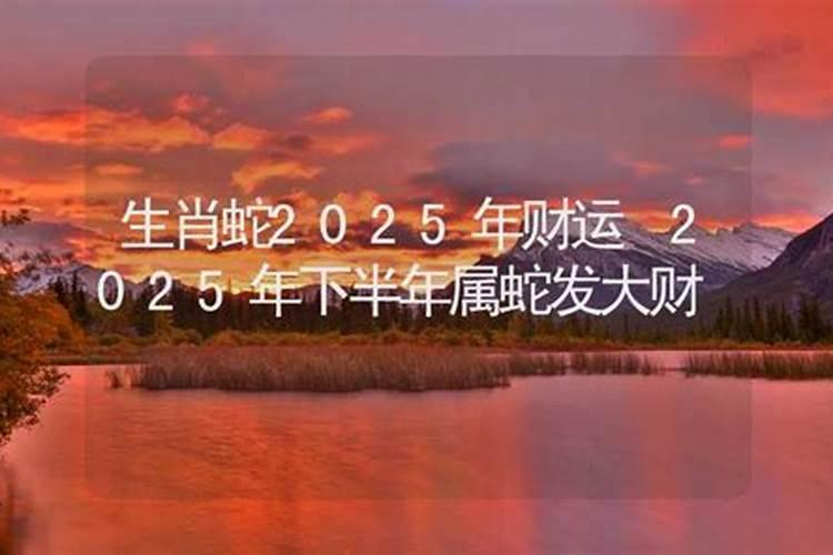 蛇年属蛇人2025年运势如何