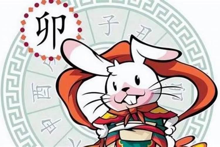 2025年猪女全年运程