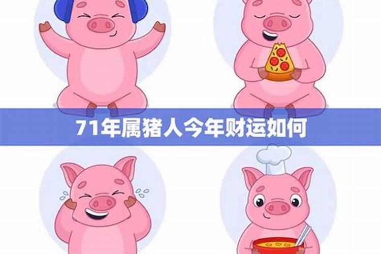 1995年属猪2024年运势