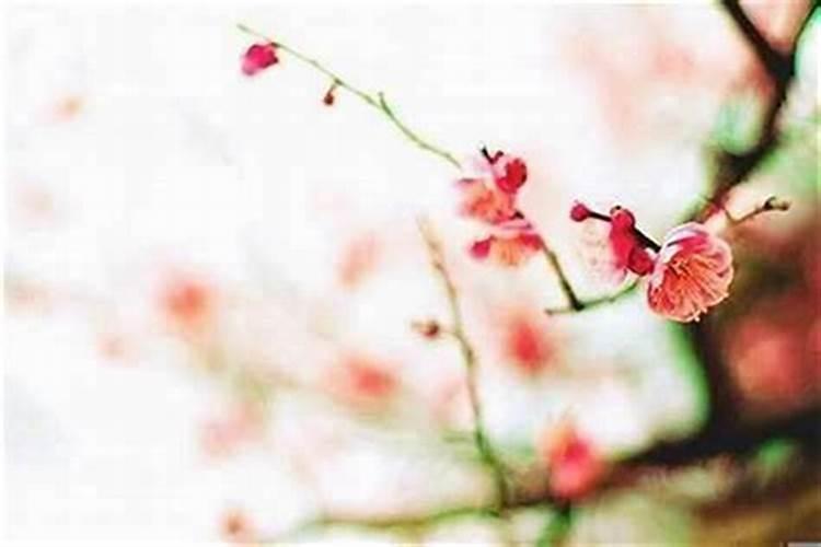 已婚女人走桃花运好不好？