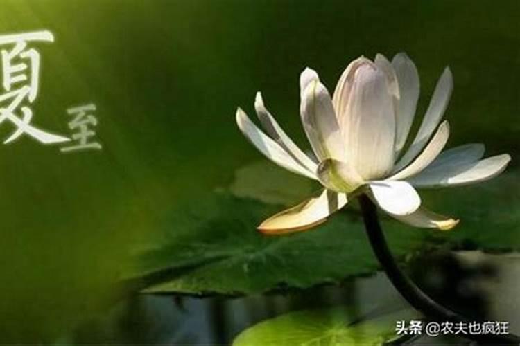 天气热注意防暑的问候语