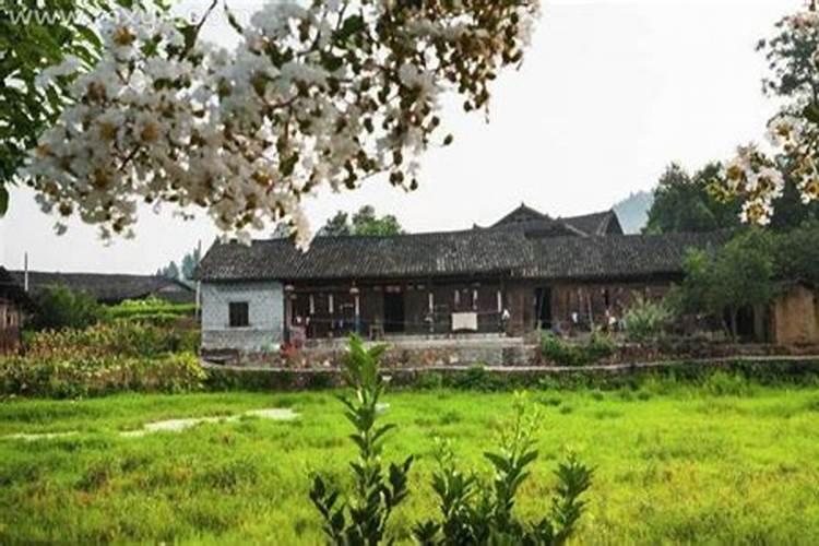 梦见老宅里有老鼠是什么意思