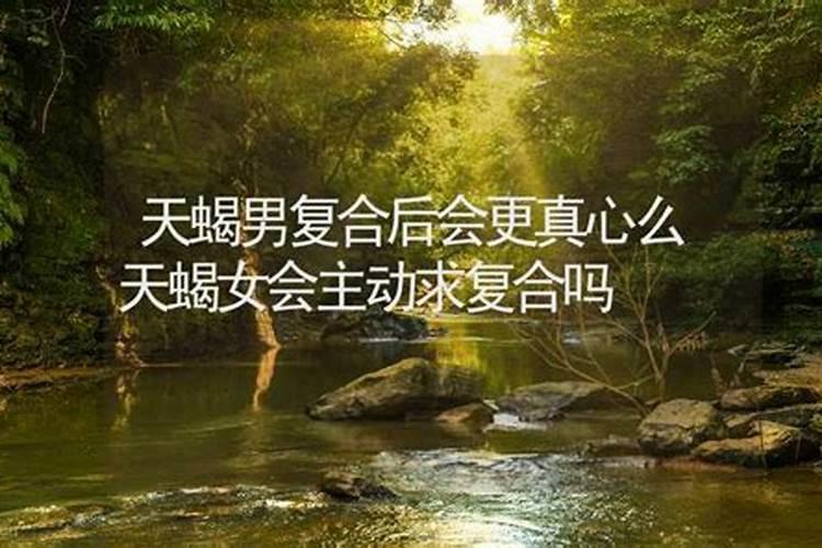 属龙腊月二十一什么命 属龙天蝎座2024年的全年运势