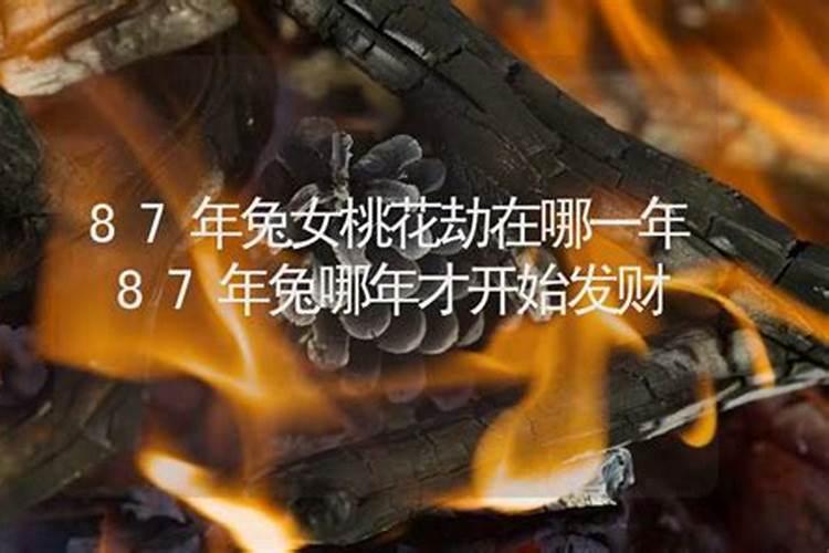 1987年7月出生的属兔的人哪一年能发财,属兔有什么缺点？