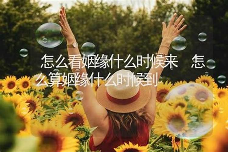 属火的生肖有哪些